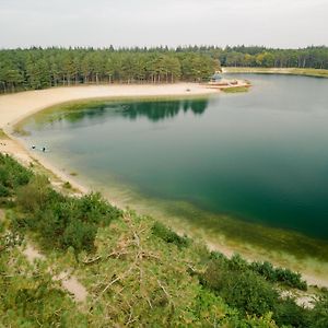 Boslodge Bosmus - 4 Personen Tussen De Bomen